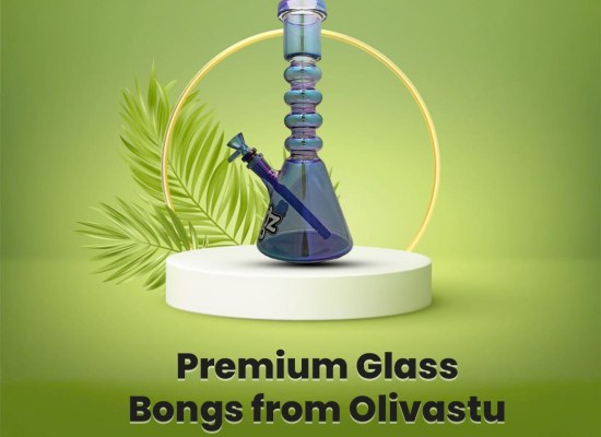 Premium Glass Bongs from Olivastu