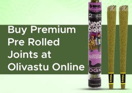 Buy Premium Pre Rolled Joints at Olivastu Online