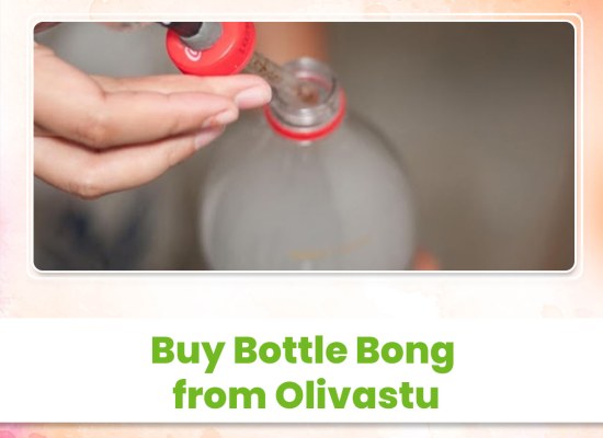 Buy Bottle Bong from Olivastu