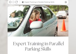 Expert Training in Parallel Parking Skills