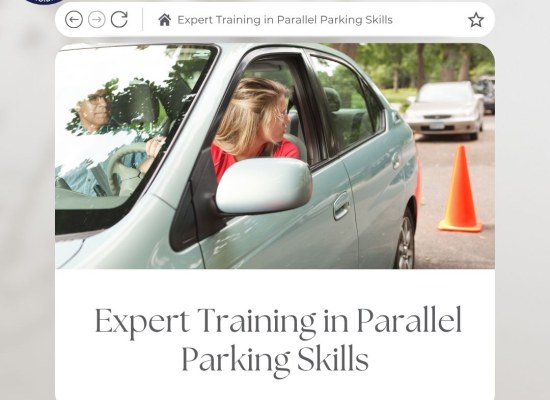 Expert Training in Parallel Parking Skills