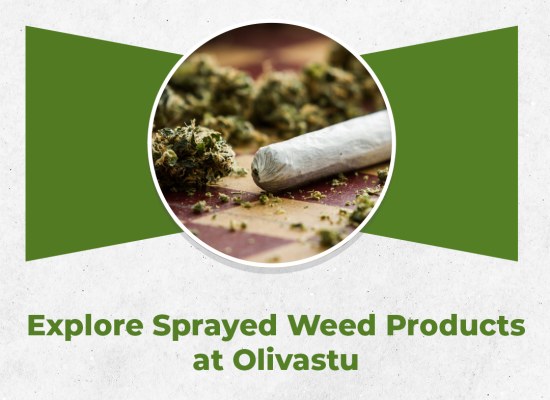Explore Sprayed Weed Products at Olivastu