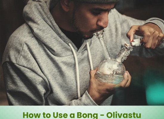 How to Use a Bong – Olivastu