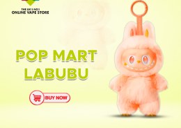 POP MART Labubu