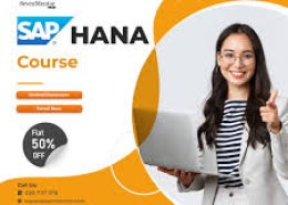 How Do You Troubleshoot Errors in SAP?