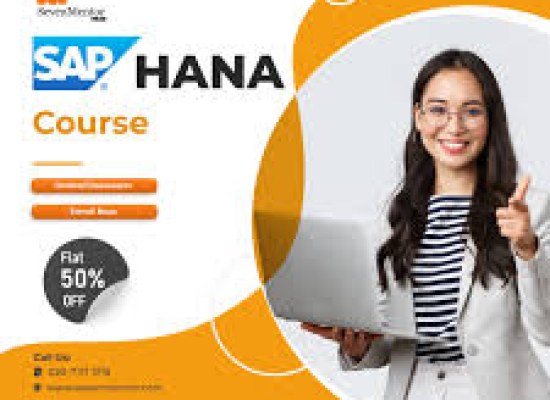 How Do You Troubleshoot Errors in SAP?