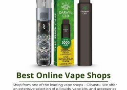 Best Online Vape Shops
