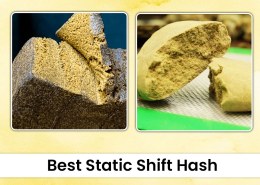 Best Static Shift Hash