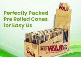 Perfectly Packed Pre Rolled Cones for Easy Use