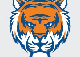 Why Tigerexch is the Best Platform for Cricket Betting in 2025