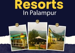 Peaceful Resorts In Palampur for a Perfect Nature Getaway