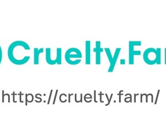 Chăn nuôi và Sống bền vững: Con đường hướng tới một tương lai hài hòa