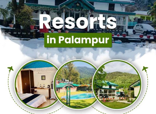 Best Resorts in Palampur