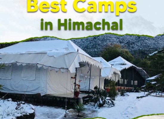 Best Camps in Himachal